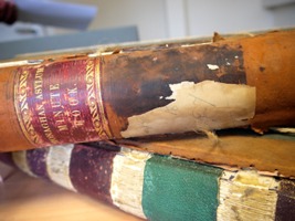 Monaghan Asylum Minute Book